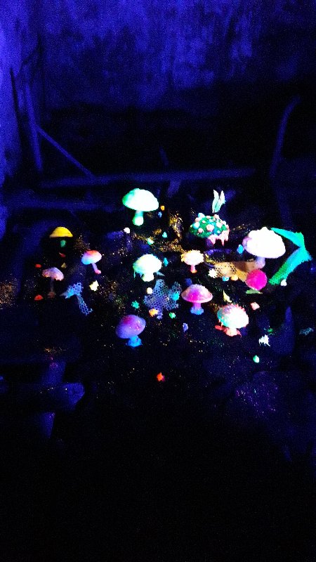 20250913_134942.jpg