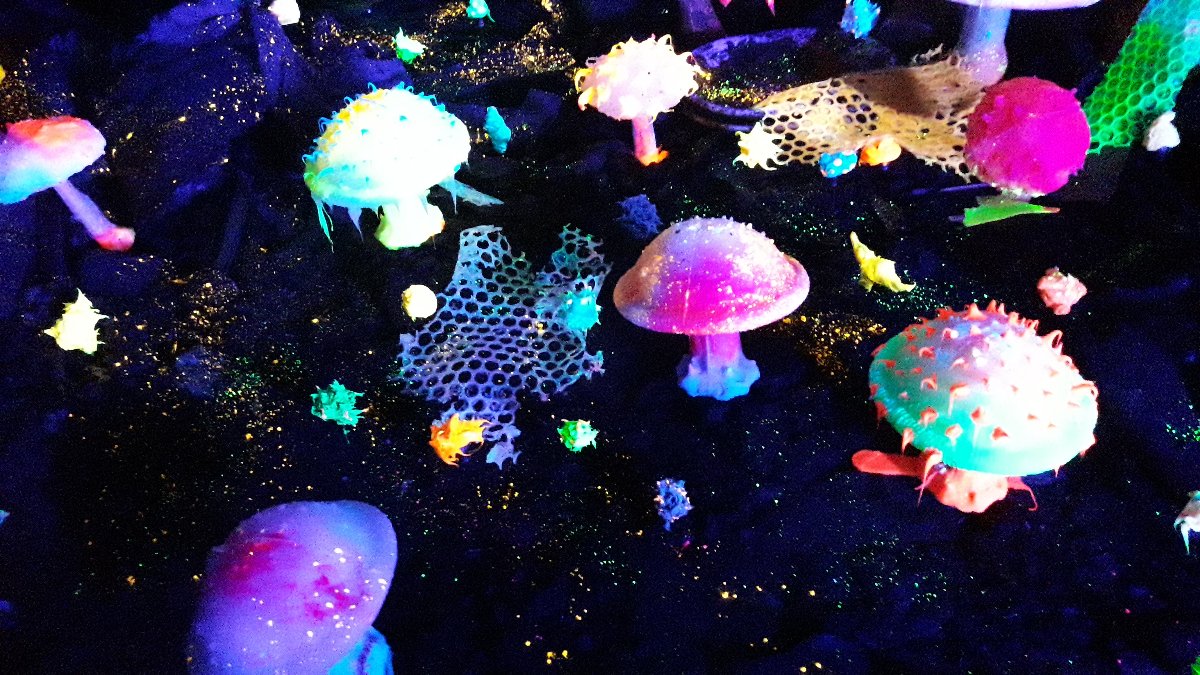 20250913_135006.jpg
