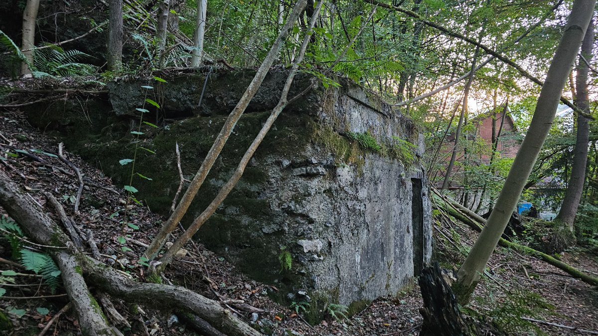 20251001_184832.jpg