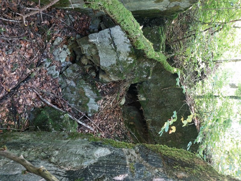 20251002_142547.jpg