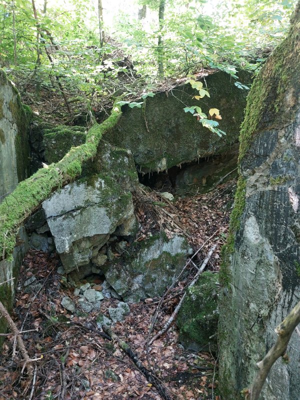 20251002_142547.jpg