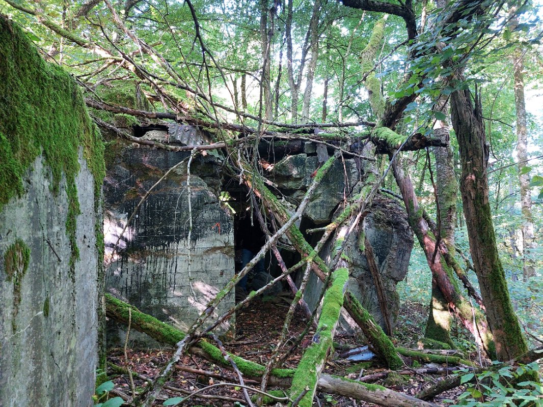 20251002_142614.jpg