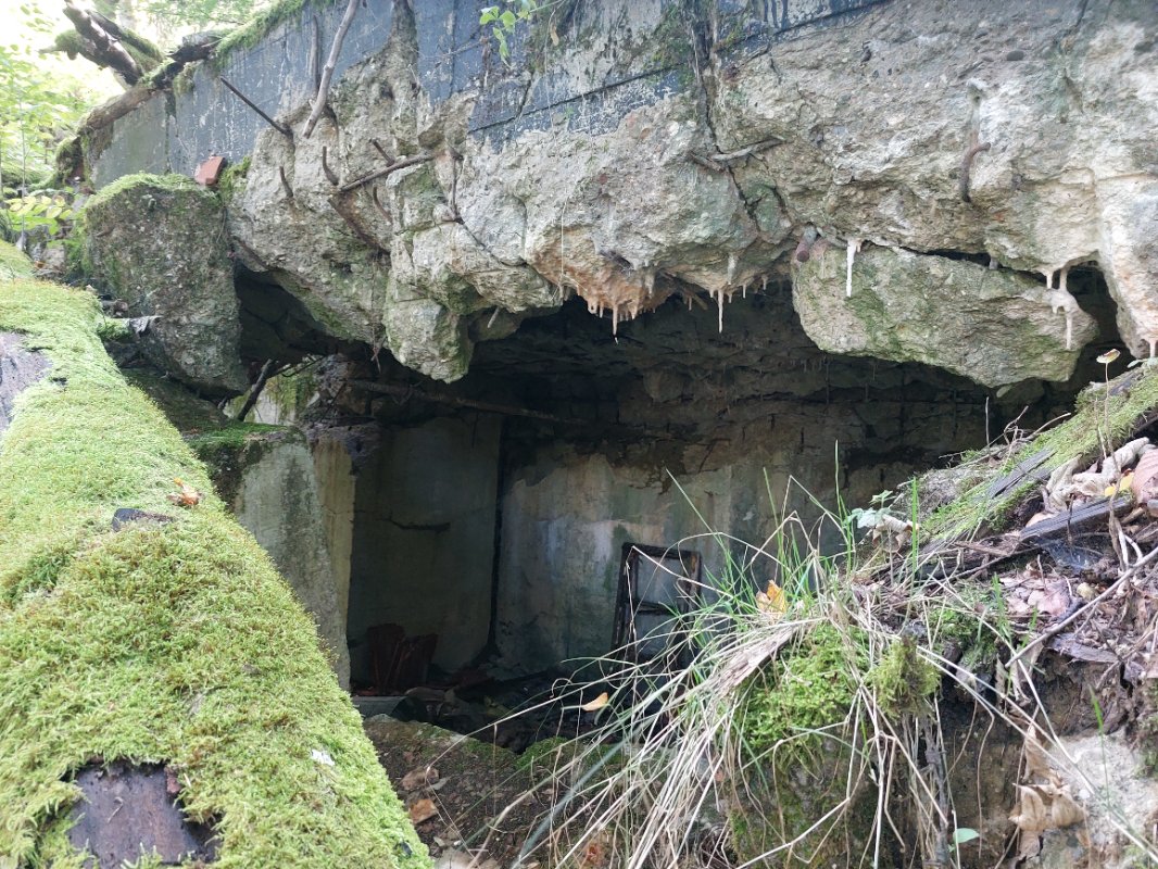 20251002_142659.jpg
