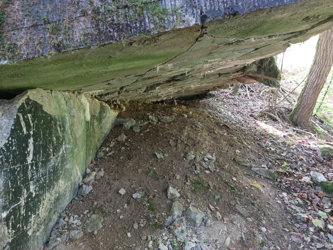 20251002_142729.jpg