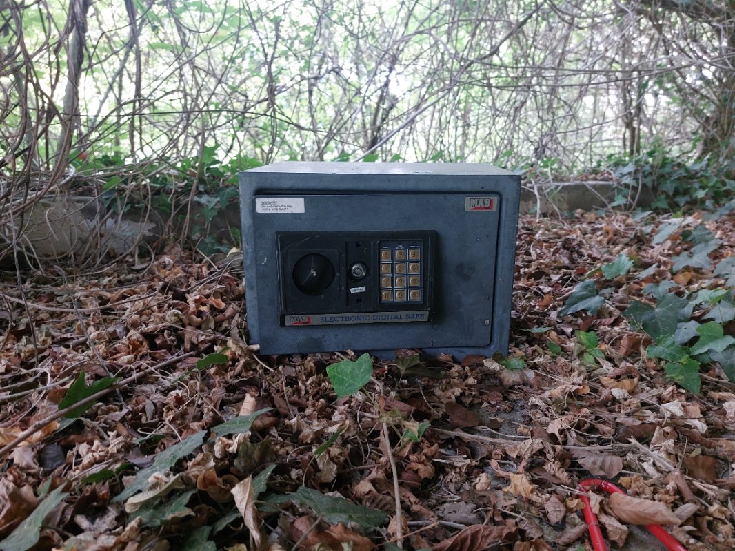 20251003_110825.jpg
