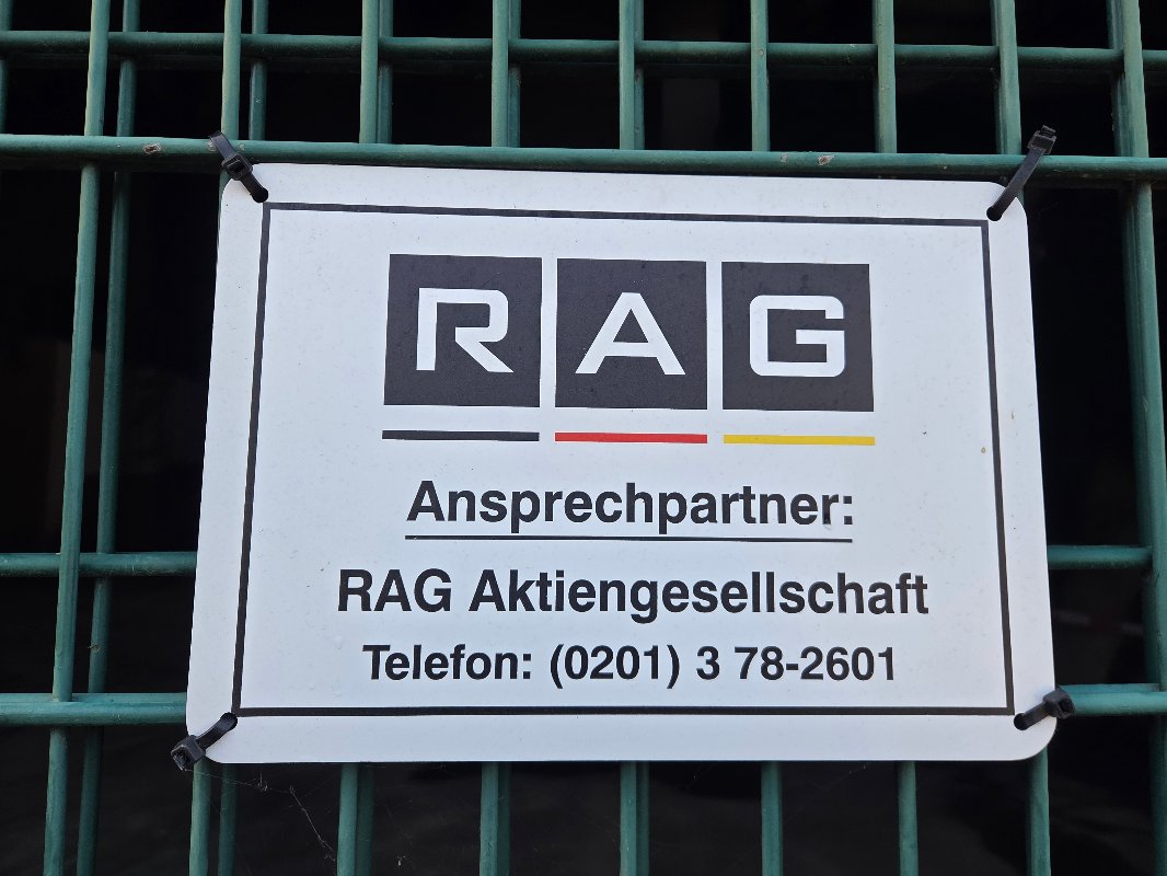 20251004_151131.jpg
