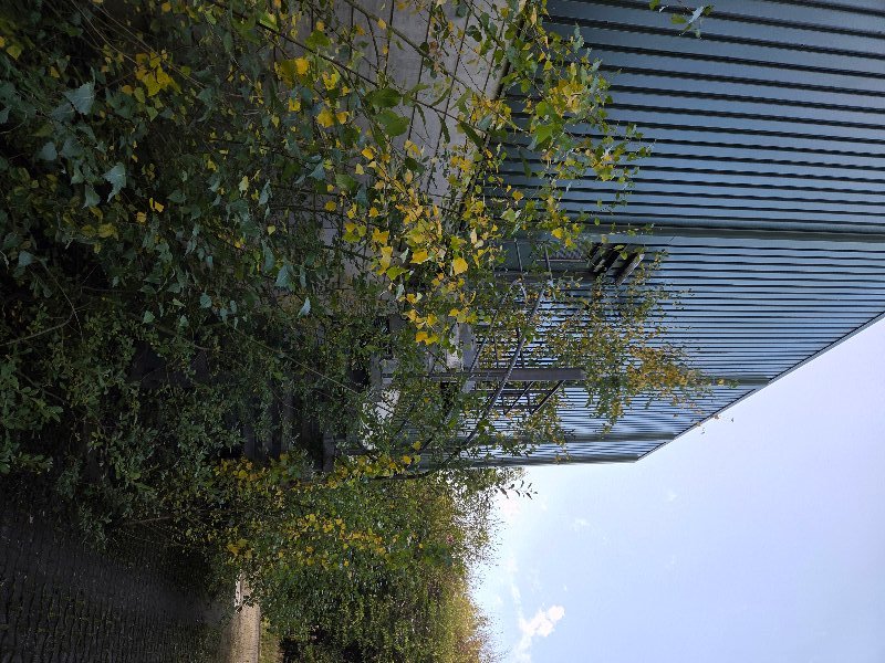 20251004_155623.jpg