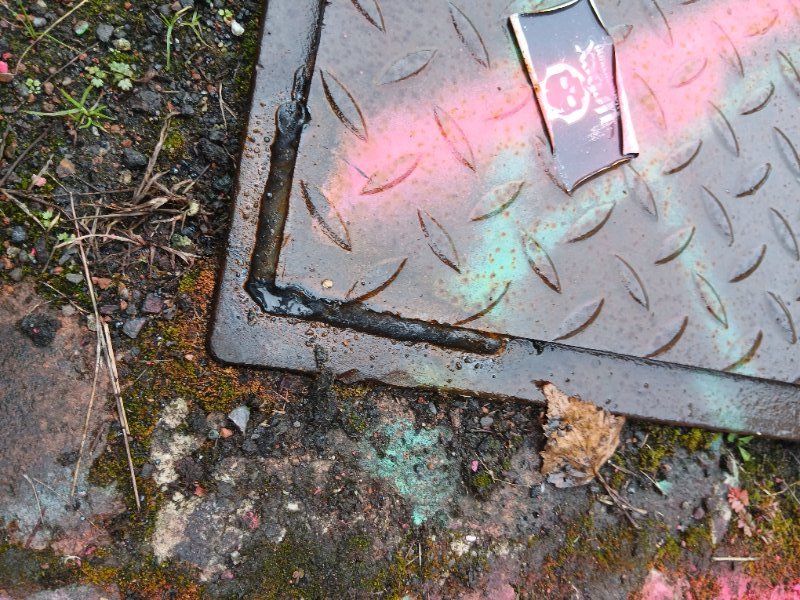 20251005_163843.jpg