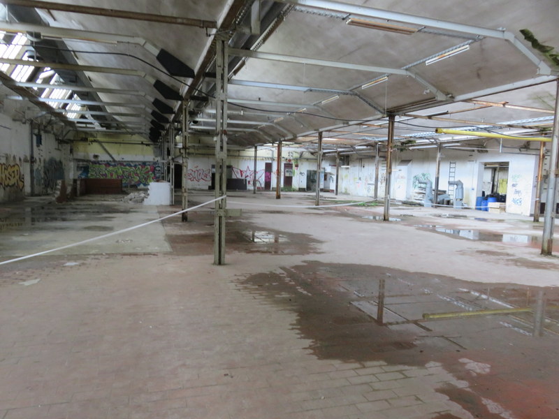 255-IMG_8382.JPG