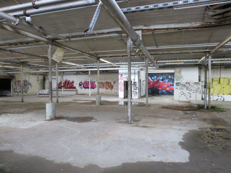 269-IMG_8396.JPG