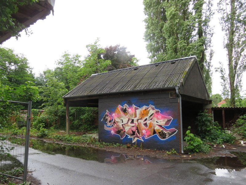 499-IMG_4366.JPG
