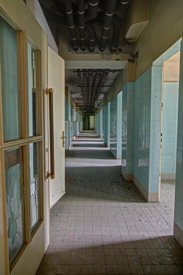 530.jpg