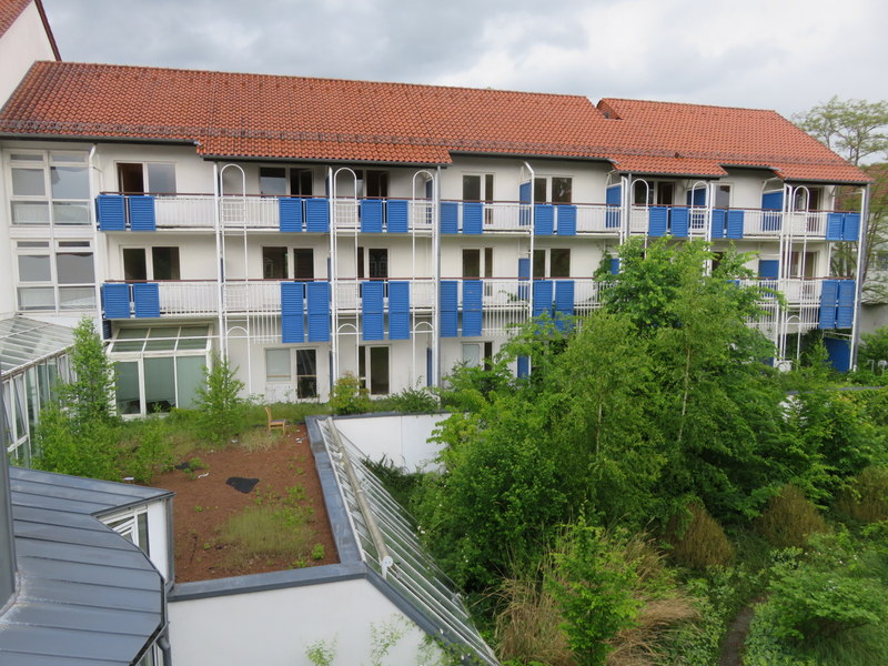 558-IMG_3726.JPG