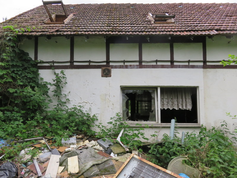 662-IMG_3830.JPG