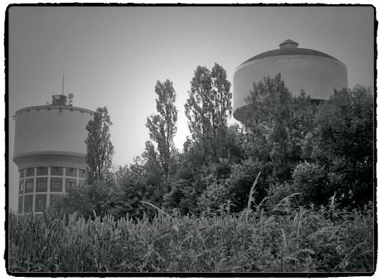 6_Fotor.jpg