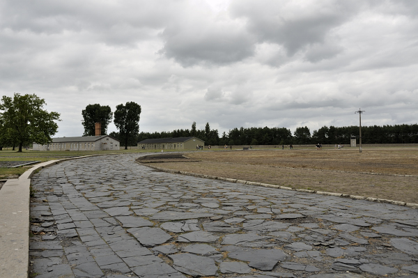 _DSC0160.JPG