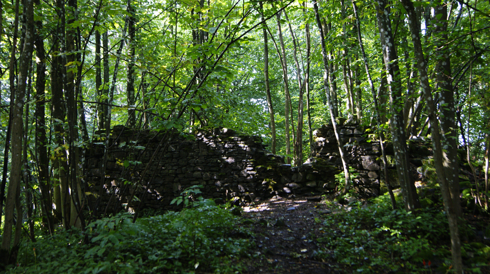 _DSC0538.JPG