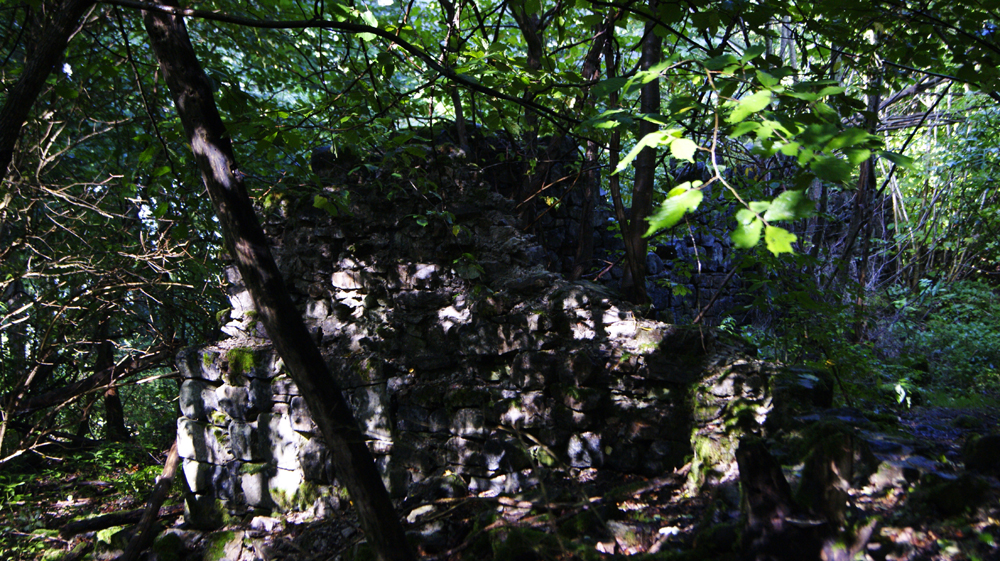 _DSC0561.JPG