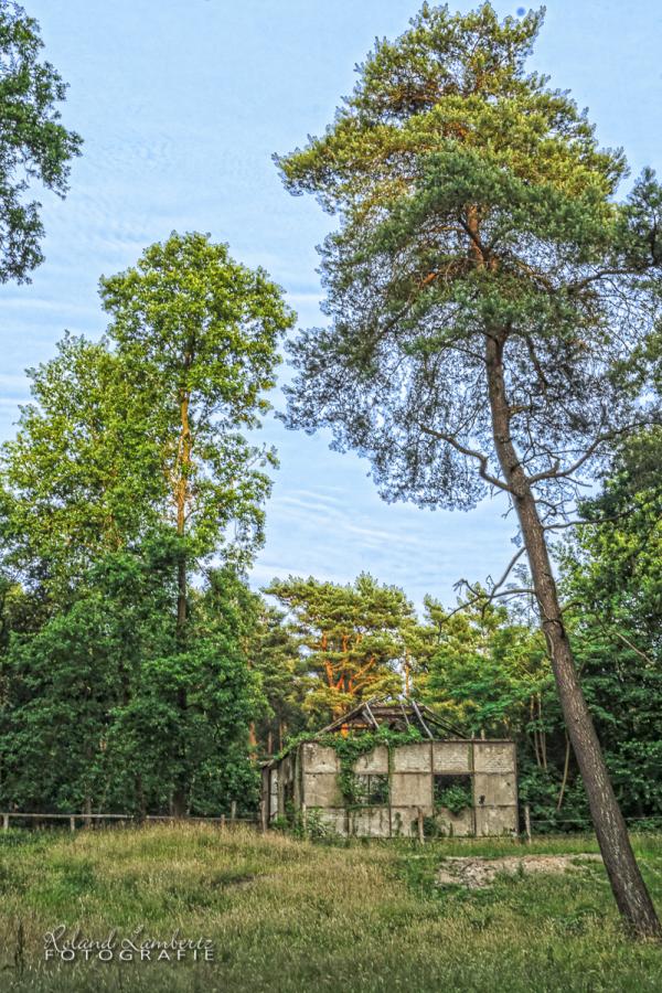 _DSC0937-Bearbeitet.jpg