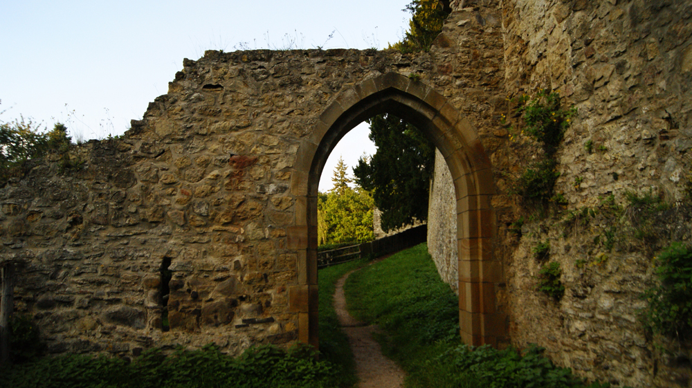 _DSC2504.JPG