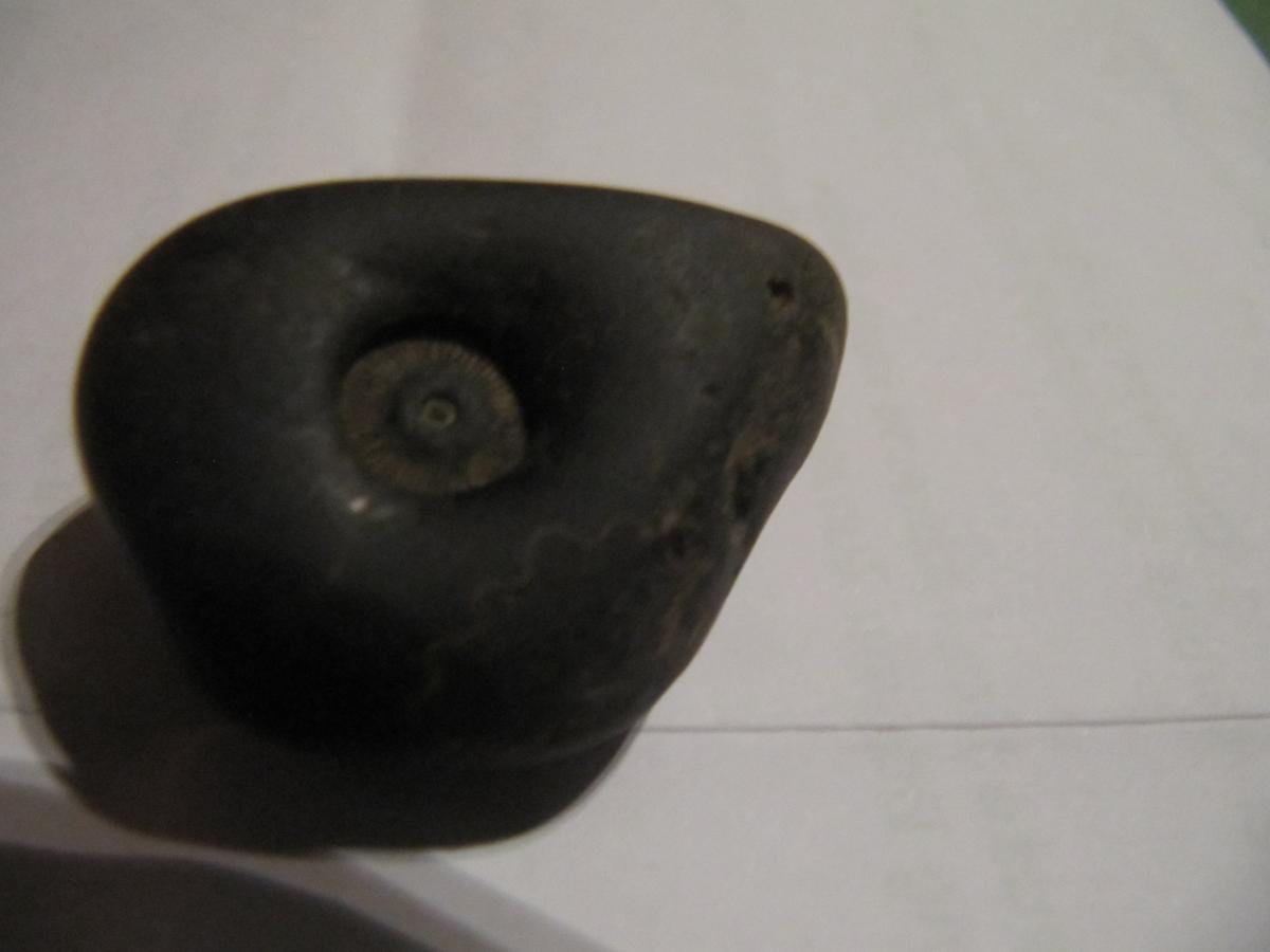 Ab 061.jpg