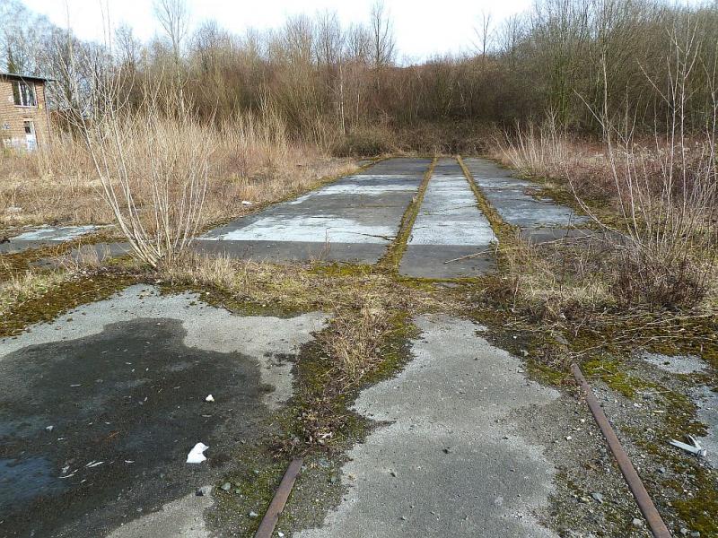 Begleisung Richtung Lärmschutzwall links Signalmeisterei.jpg