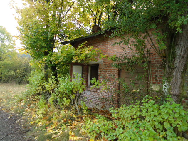 Bild 041.jpg