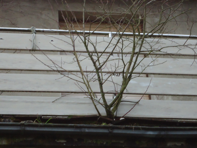 Bild 074.jpg