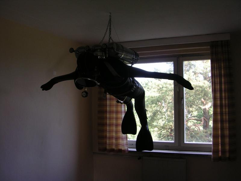Bild 433.jpg