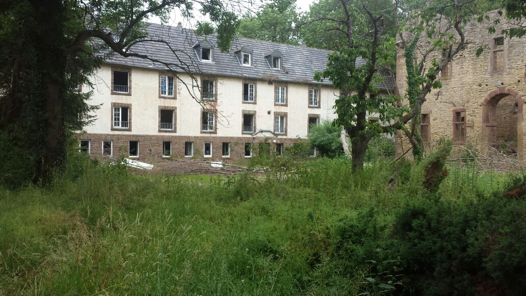 Blick auf alte Klinik und Burgruine.jpg