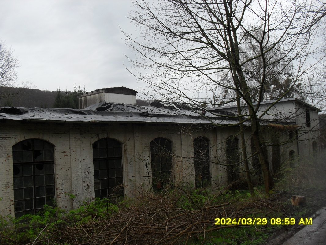 bodenwerder Linse  (10).JPG