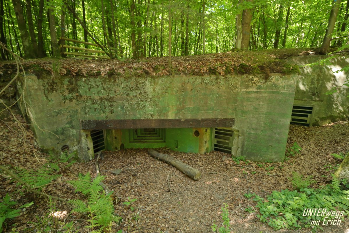 Buhlert_Bu-131_F02-202505.JPG
