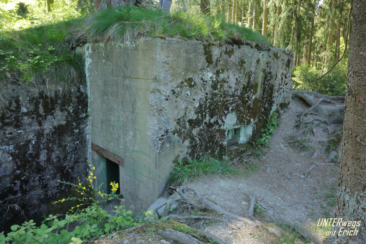 Buhlert_Bu-132_F18-202505.JPG