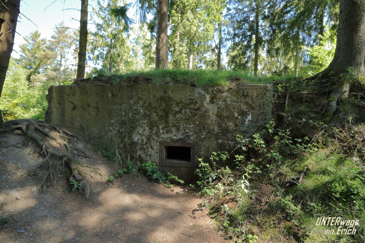 Buhlert_Bu-132_F19-202505.JPG