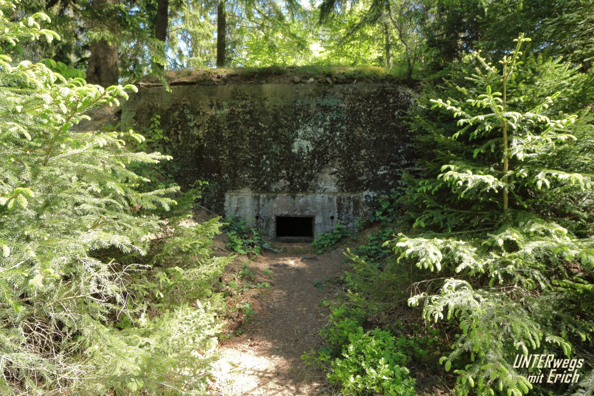 Buhlert_Bu-135_F01-202505.JPG