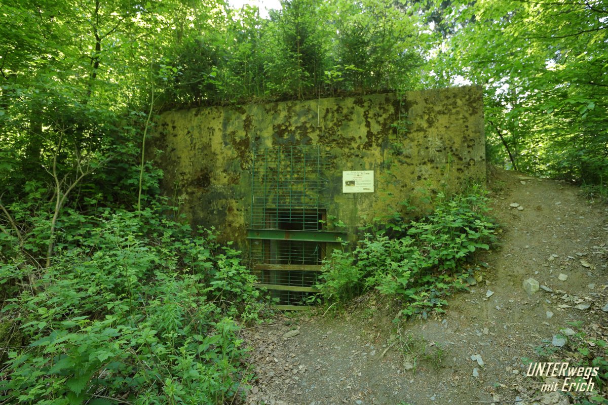 Buhlert_Wasser-Bu_F01-202505.JPG