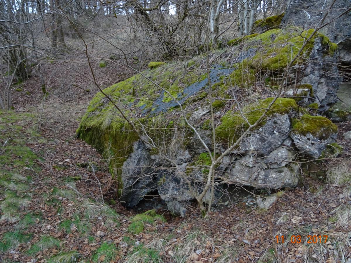 Bunker 134 Doppel MG Kasematte Regelbau107 Sonderkonstruktion für Steilhänge (32).JPG