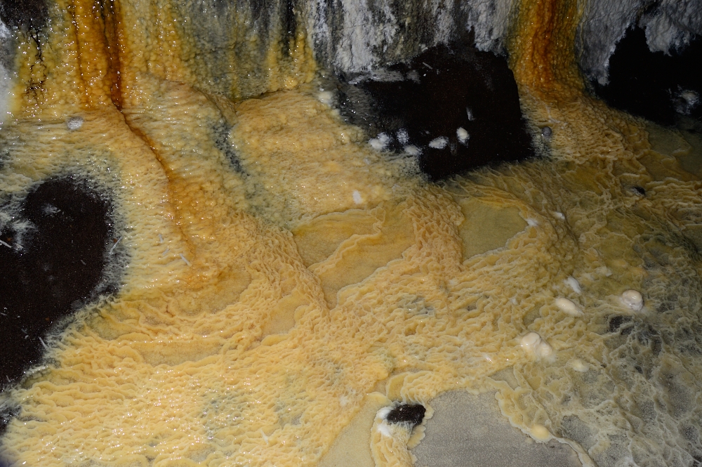 Bunker D_02-27-2016_119.JPG
