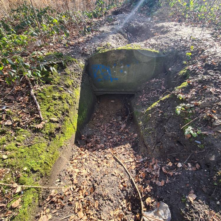 Bunker Sterkrader Wald 1.jpeg