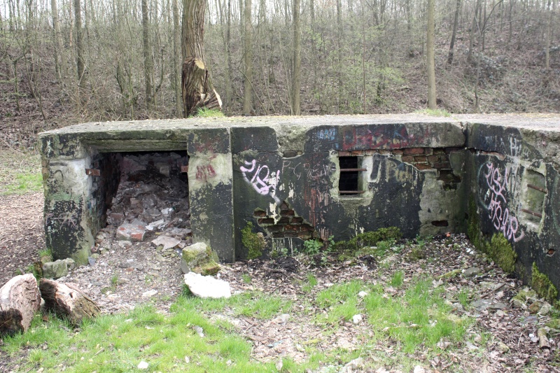 bunker0404090662.jpg