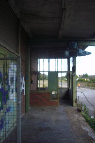 bussi (29).JPG