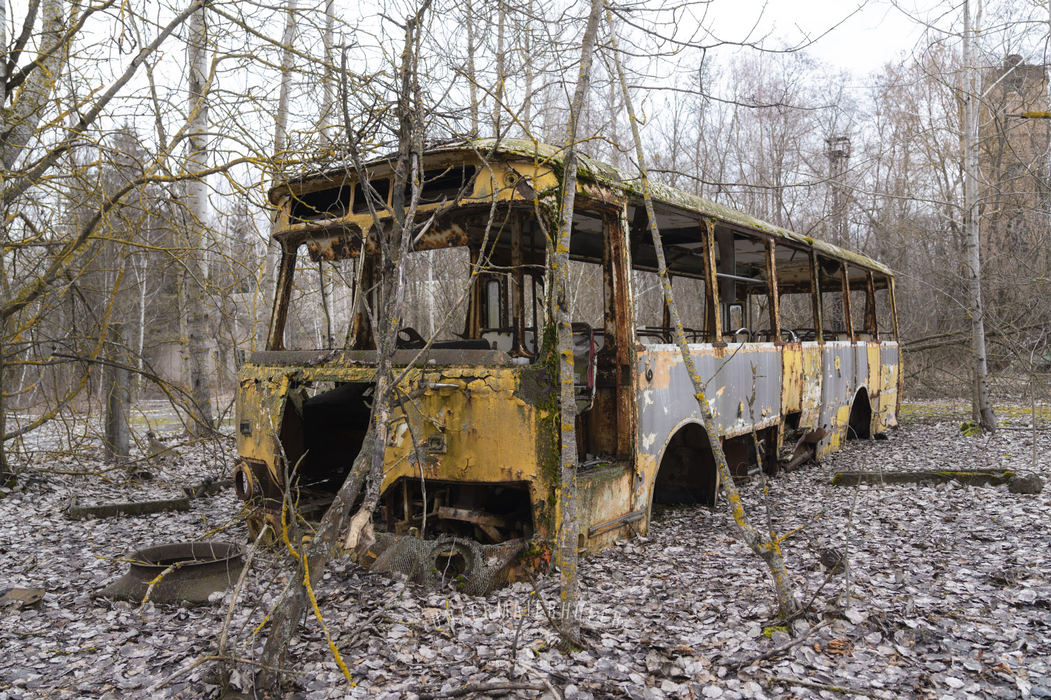 chernobus (2020) Kopie.jpg