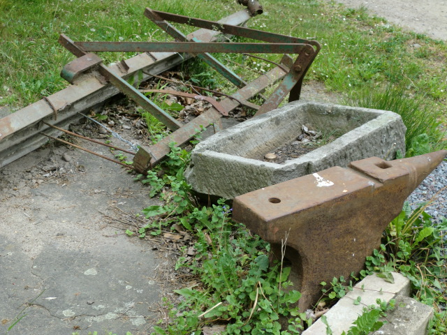 CIMG0271.JPG