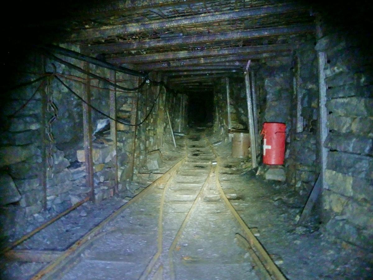 CIMG5850.JPG