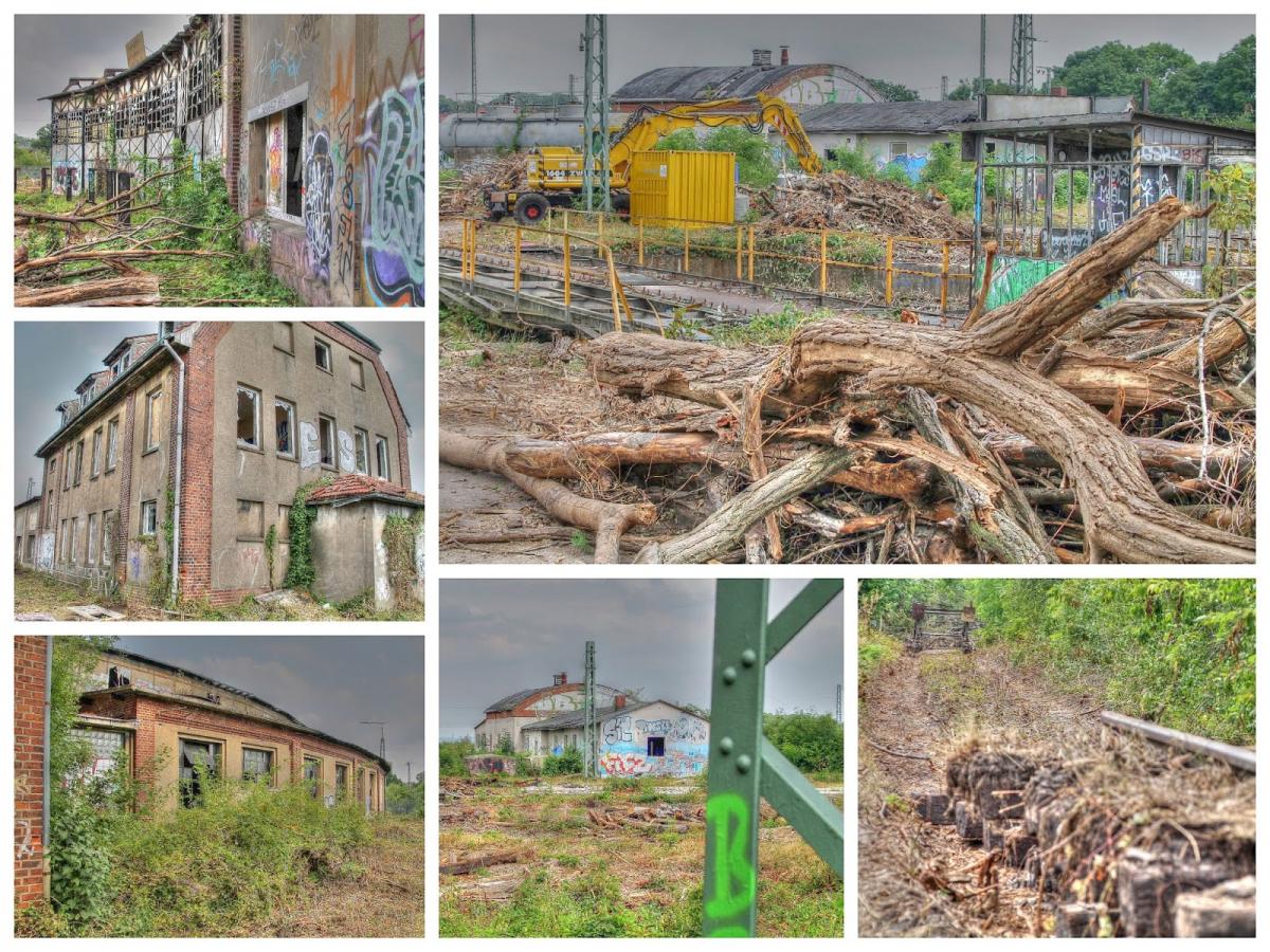 Collage_Fotor2.jpg