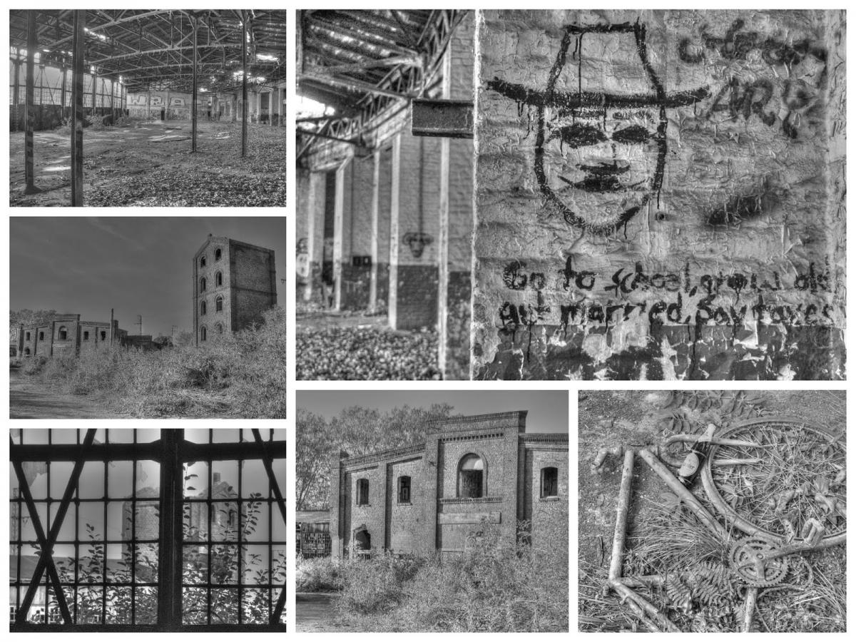Collage_Fotor2x.jpg
