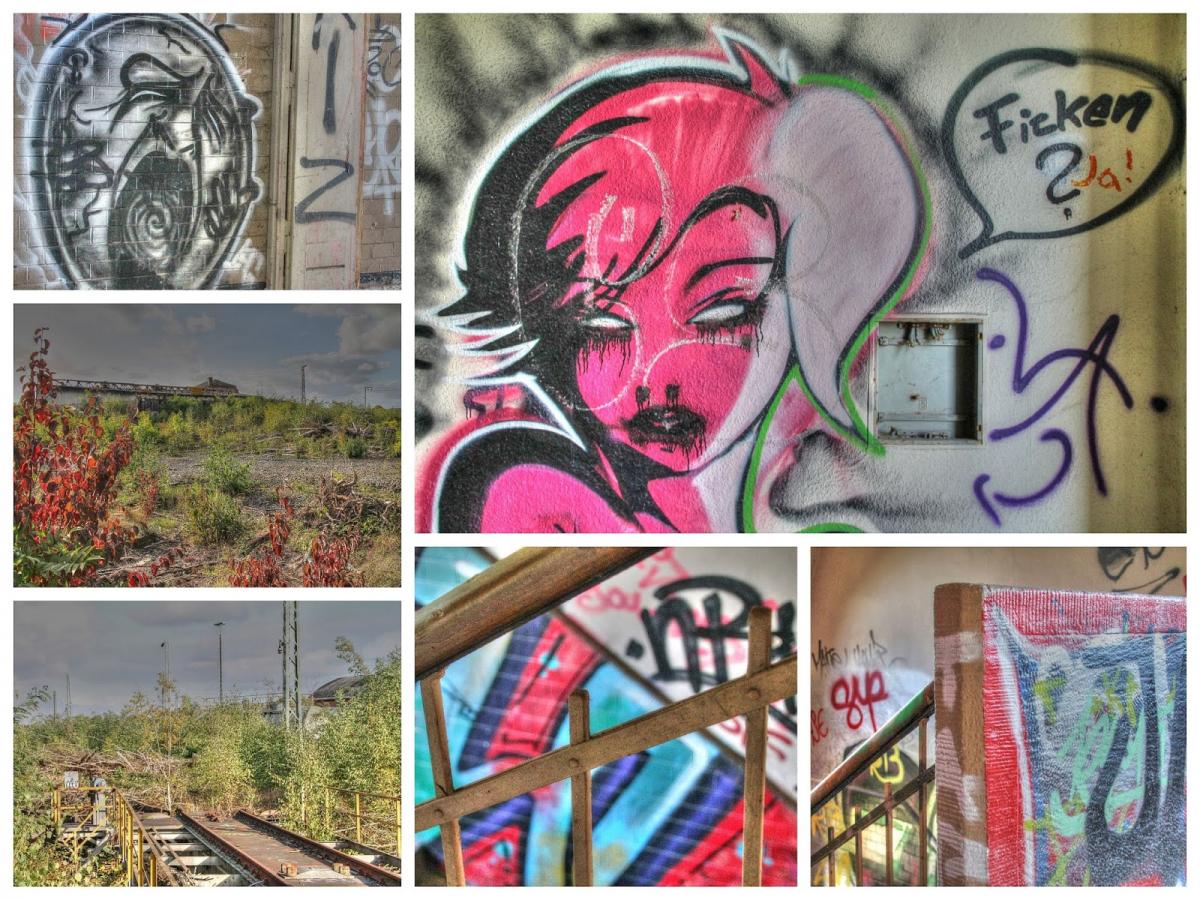 Collage_Fotor3.jpg