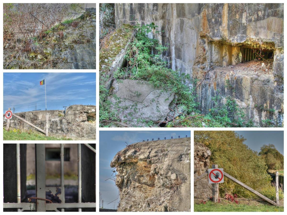 Collage_Fotor3.jpg