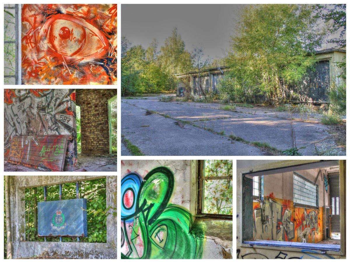 Collage_Fotor3.jpg