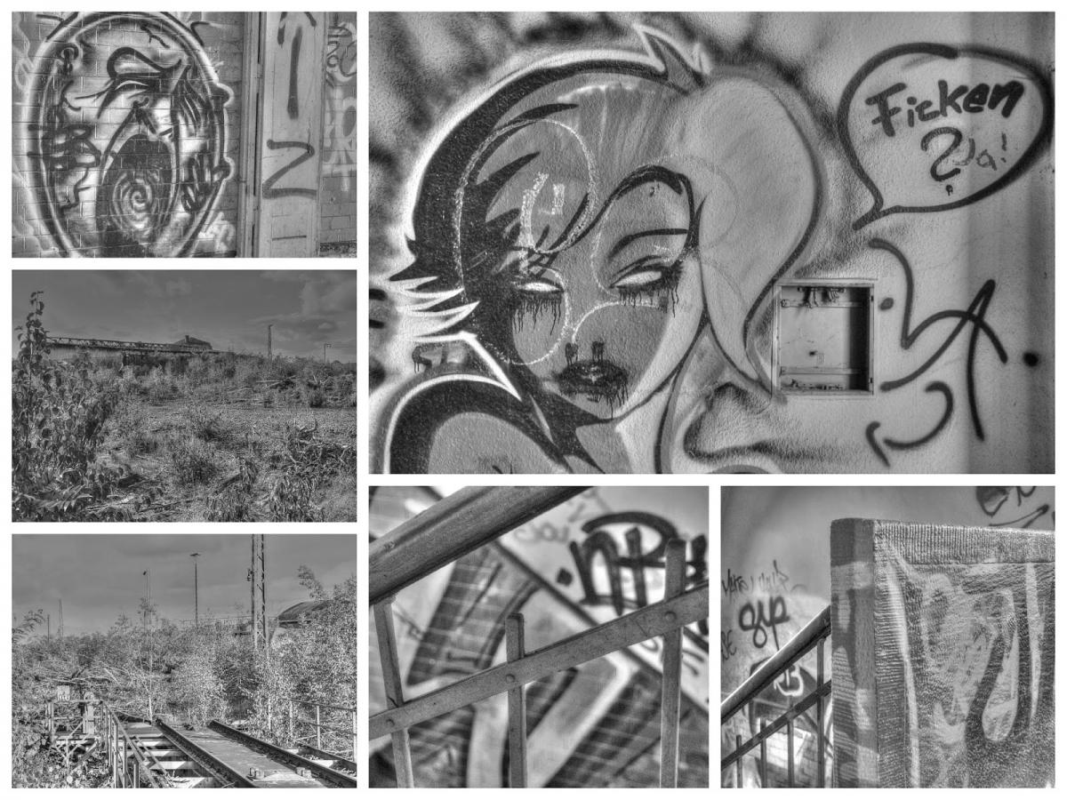 Collage_Fotor3x.jpg